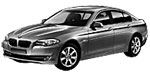 BMW F10 P289E Fault Code
